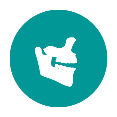 maxilofacial